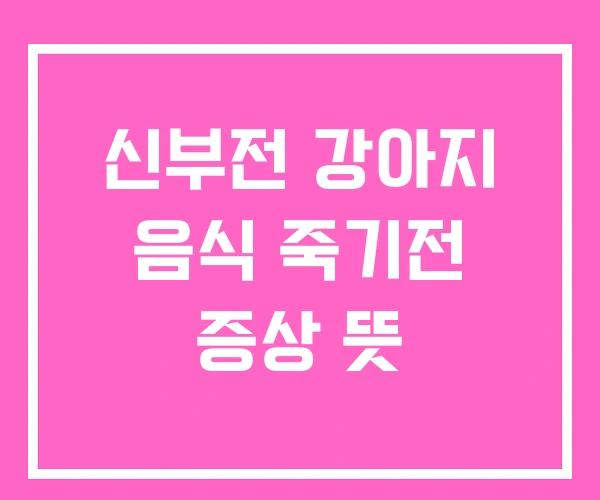 신부전 강아지 음식 죽기전 증상 뜻
