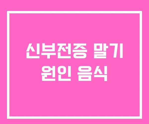 신부전증 말기 원인 음식
