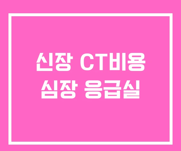 신장 CT비용 심장 응급실