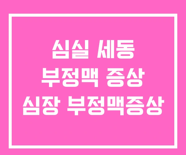 심실 세동 부정맥 증상 심장 부정맥증상 심실 세동 부정맥 증상 심장 부정맥증상