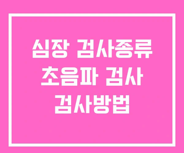 심장 검사종류 초음파 검사 검사방법