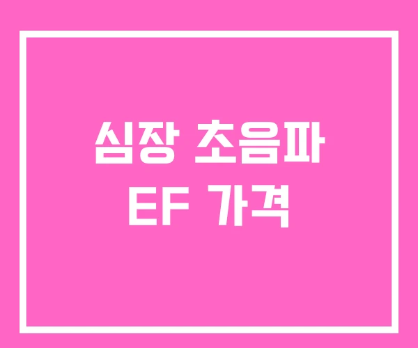 심장 초음파 EF 가격 심장 초음파 EF 가격