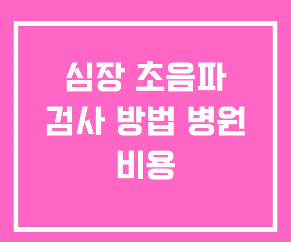 심장 초음파 검사 방법 병원 비용