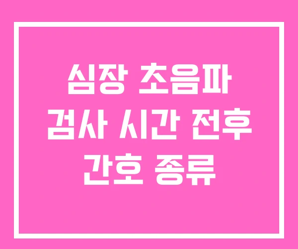 심장 초음파 검사 시간 전후 간호 종류 심장 초음파 검사 시간 전후 간호 종류