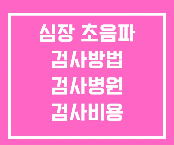 심장 초음파 검사방법 검사병원 검사비용