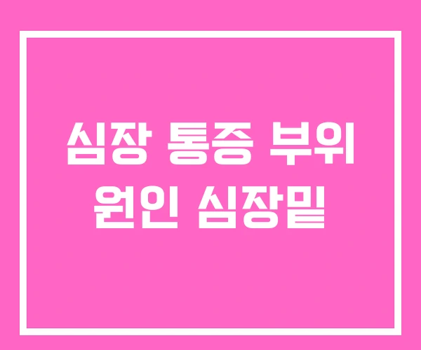 심장 통증 부위 원인 심장밑 심장 통증 부위 원인 심장밑