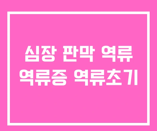 심장 판막 역류 역류증 역류초기 심장 판막 역류 역류증 역류초기