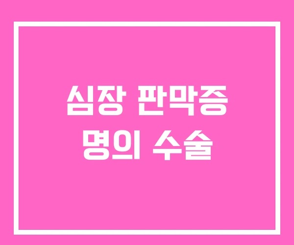 심장 판막증 명의 수술