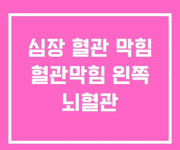 심장 혈관 막힘 혈관막힘 왼쪽 뇌혈관 심장 혈관 막힘 혈관막힘 왼쪽 뇌혈관