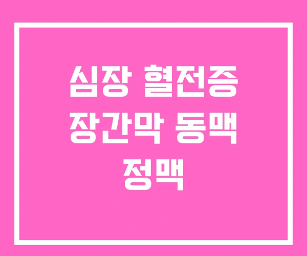 심장 혈전증 장간막 동맥 정맥 심장 혈전증 장간막 동맥 정맥