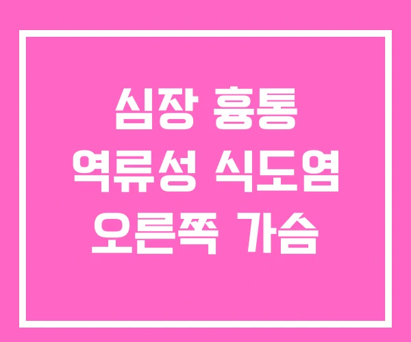 심장 흉통 역류성 식도염 오른쪽 가슴