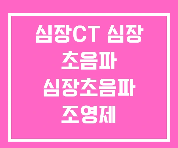 심장CT 심장 초음파 심장초음파 조영제 심장CT 심장 초음파 심장초음파 조영제