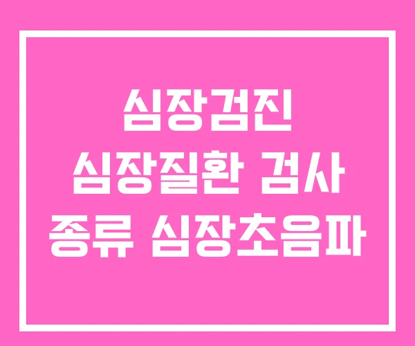 심장검진 심장질환 검사 종류 심장초음파