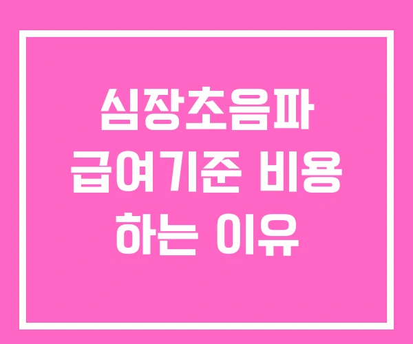 심장초음파 급여기준 비용 하는 이유 심장초음파 급여기준 비용 하는 이유