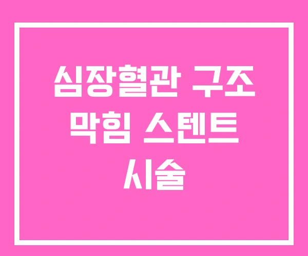 심장혈관 구조 막힘 스텐트 시술