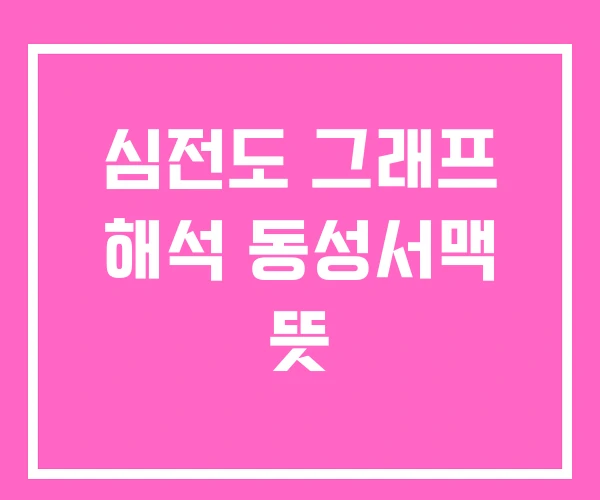 심전도 그래프 해석 동성서맥 뜻