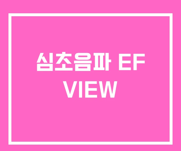 심초음파 EF VIEW 심초음파 EF VIEW
