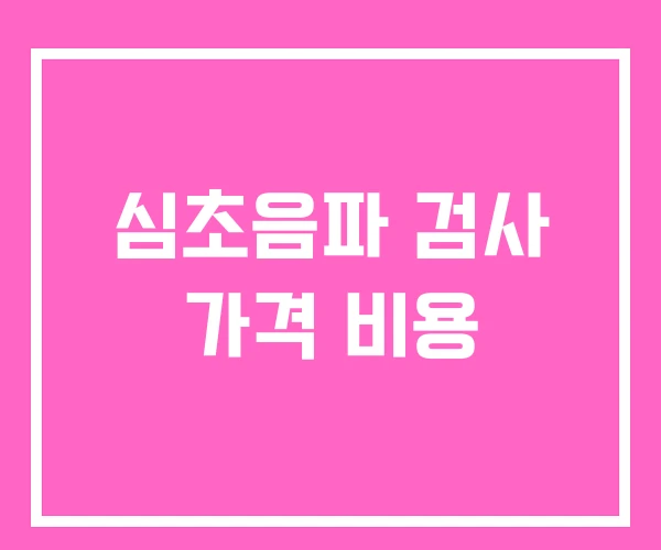 심초음파 검사 가격 비용