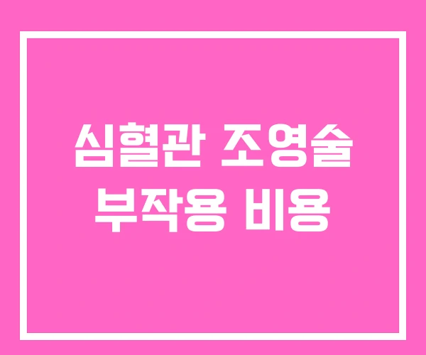 심혈관 조영술 부작용 비용 심혈관 조영술 부작용 비용