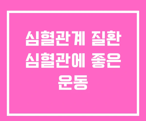 심혈관계 질환 심혈관에 좋은 운동