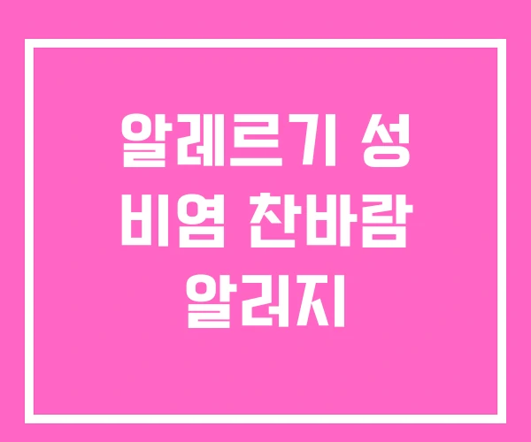 알레르기 성 비염 찬바람 알러지