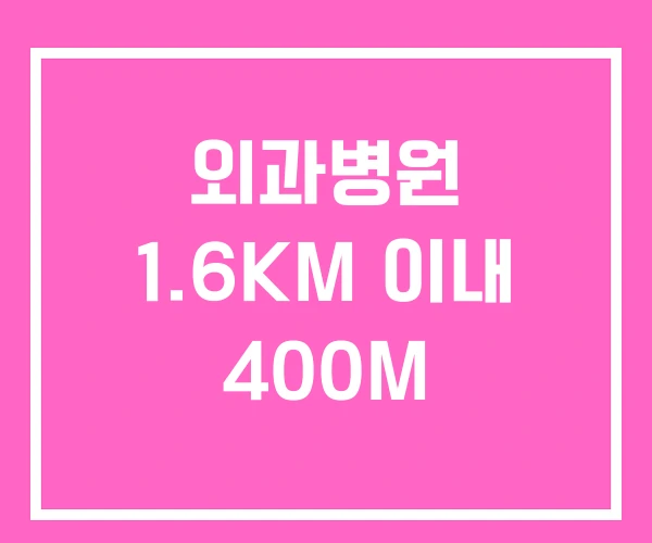 외과병원 1.6KM 이내 400M 외과병원 1.6KM 이내 400M