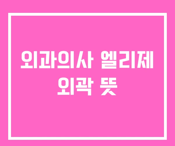 외과의사 엘리제 외곽 뜻 외과의사 엘리제 외곽 뜻