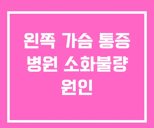 왼쪽 가슴 통증 병원 소화불량 원인 왼쪽 가슴 통증 병원 소화불량 원인