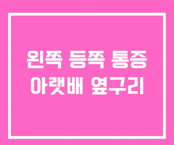 왼쪽 등쪽 통증 아랫배 옆구리