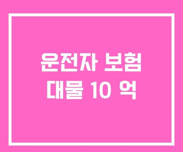 운전자 보험 대물 10 억 운전자 보험 대물 10 억