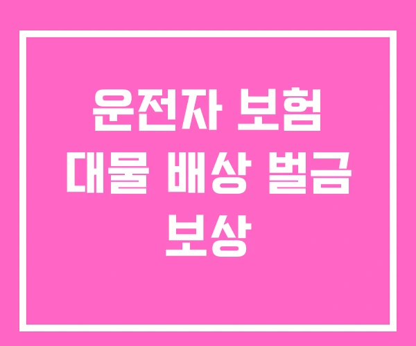 운전자 보험 대물 배상 벌금 보상