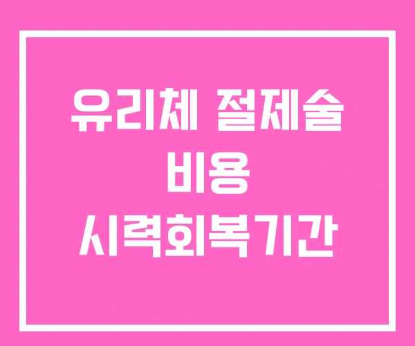 유리체 절제술 비용 시력회복기간