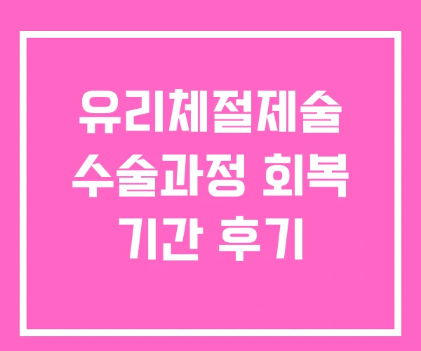 유리체절제술 수술과정 회복 기간 후기