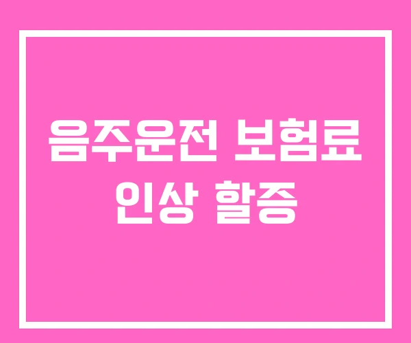 음주운전 보험료 인상 할증