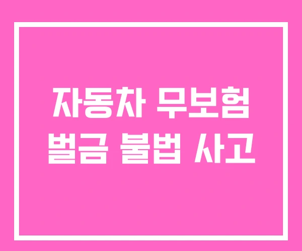 자동차 무보험 벌금 불법 사고