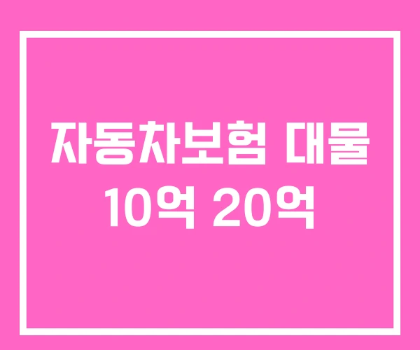 자동차보험 대물 10억 20억