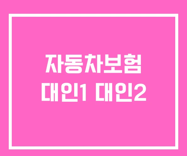 자동차보험 대인1 대인2 자동차보험 대인1 대인2