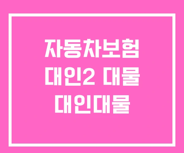 자동차보험 대인2 대물 대인대물 자동차보험 대인2 대물 대인대물