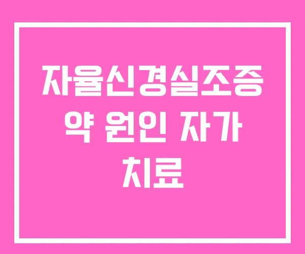 자율신경실조증 약 원인 자가 치료
