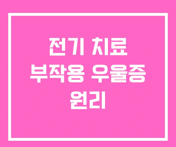 전기 치료 부작용 우울증 원리