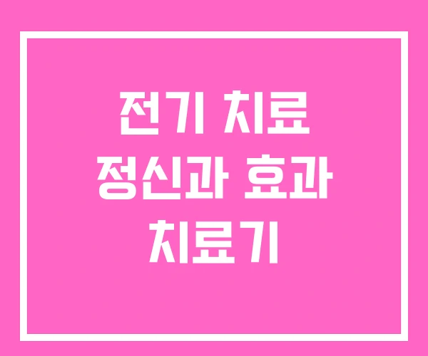 전기 치료 정신과 효과 치료기 전기 치료 정신과 효과 치료기