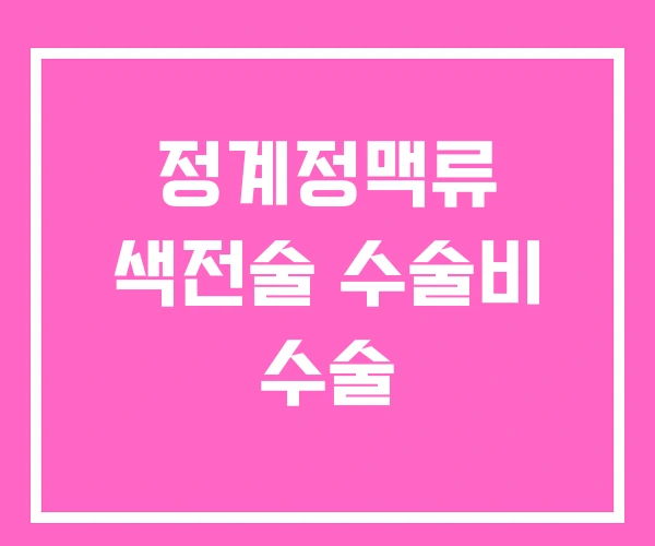 정계정맥류 색전술 수술비 수술 정계정맥류 색전술 수술비 수술