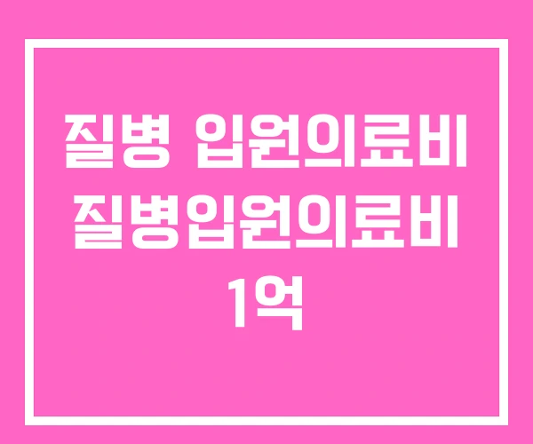 질병 입원의료비 질병입원의료비 1억