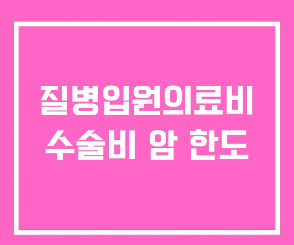 질병입원의료비 수술비 암 한도