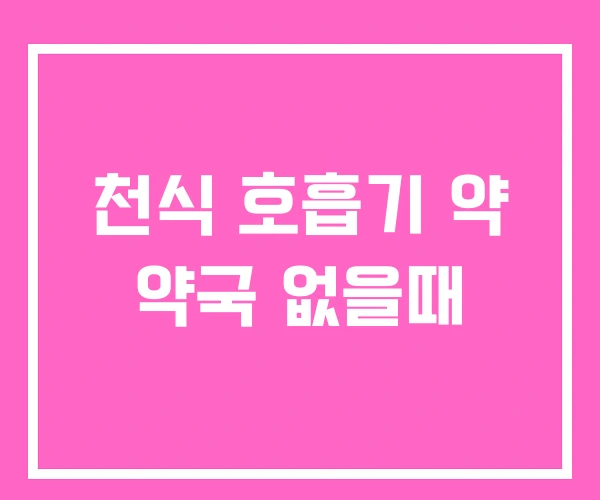 천식 호흡기 약 약국 없을때 천식 호흡기 약 약국 없을때