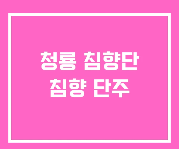 청룡 침향단 침향 단주