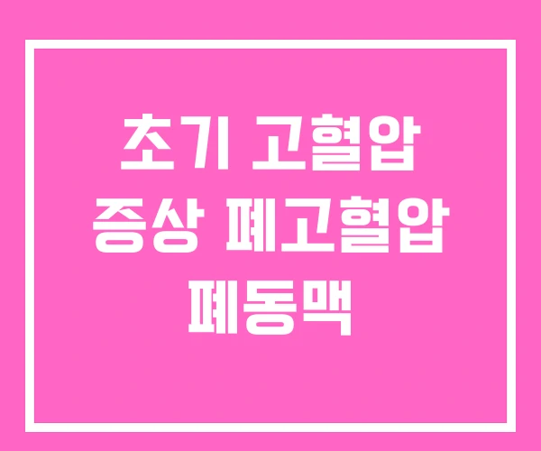 초기 고혈압 증상 폐고혈압 폐동맥