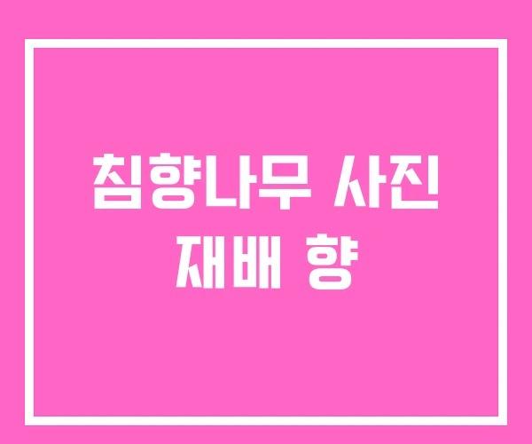 침향나무 사진 재배 향