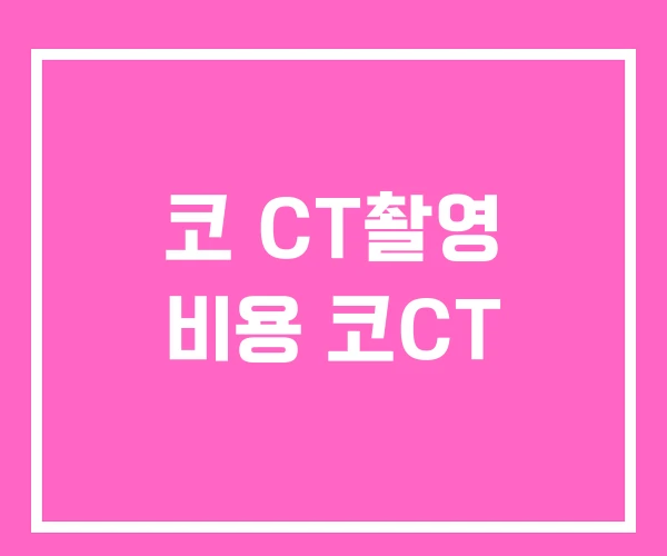 코 CT촬영 비용 코CT 코 CT촬영 비용 코CT