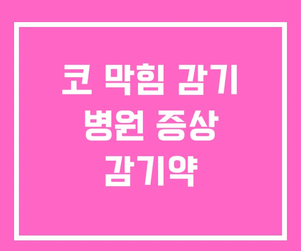코 막힘 감기 병원 증상 감기약 코 막힘 감기 병원 증상 감기약